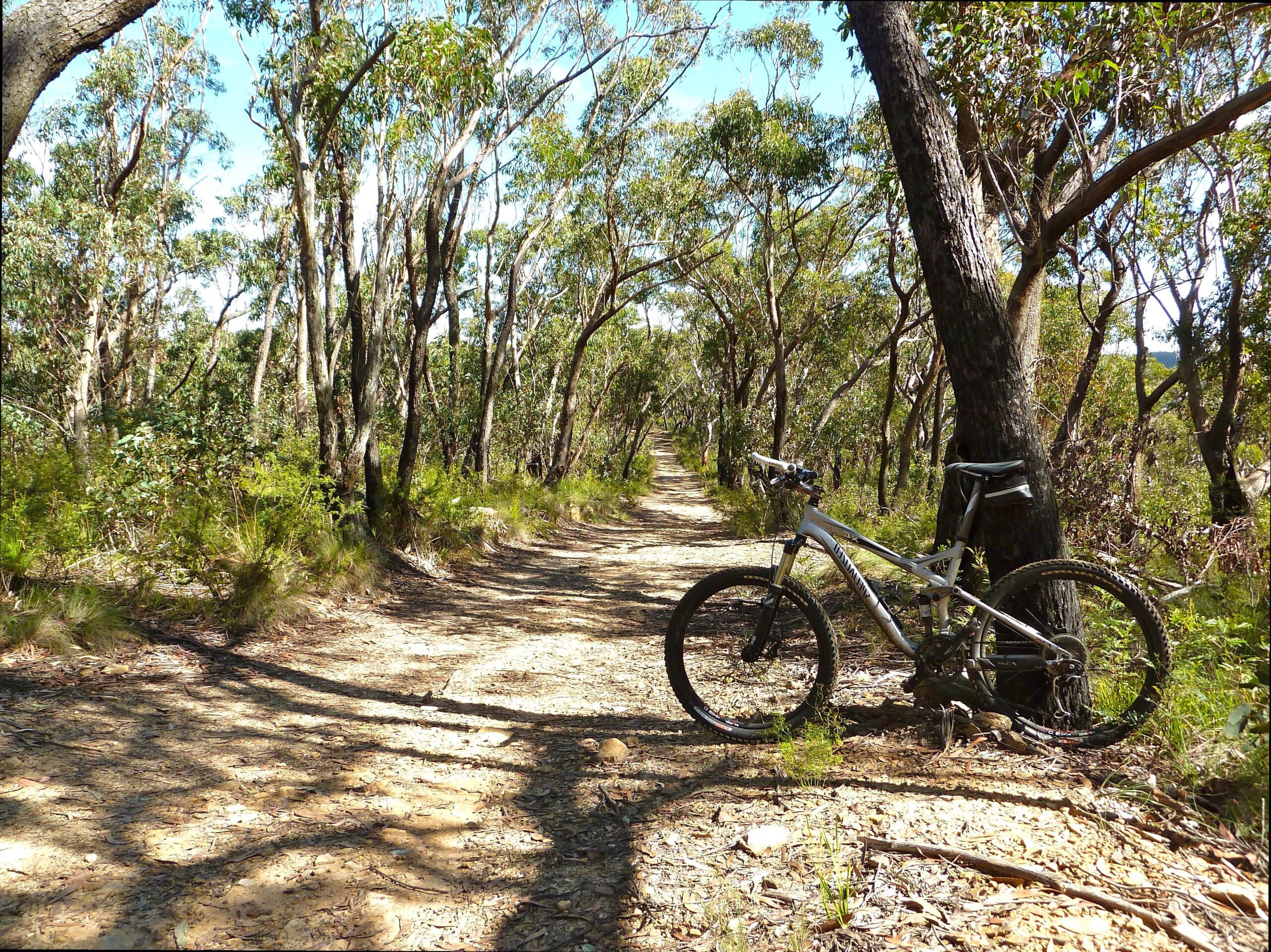 10oxen | Faulconbridge Point: Scenic overlooks and historical significance of Faulconbridge Point.