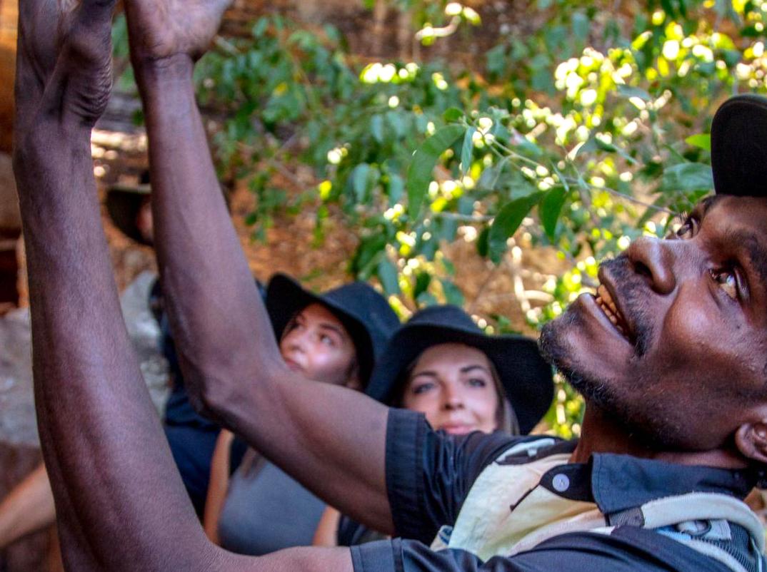 10oxen | Discover Ancient Earth Ochres at Injalak Hill: Cultural Heritage in Kakadu 10oxen | Discover Ancient Earth Ochres at Injalak Hill: Cultural Heritage in Kakadu