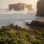 10oxen | Exploring the Ningaloo Aquarium & Discovery Centre