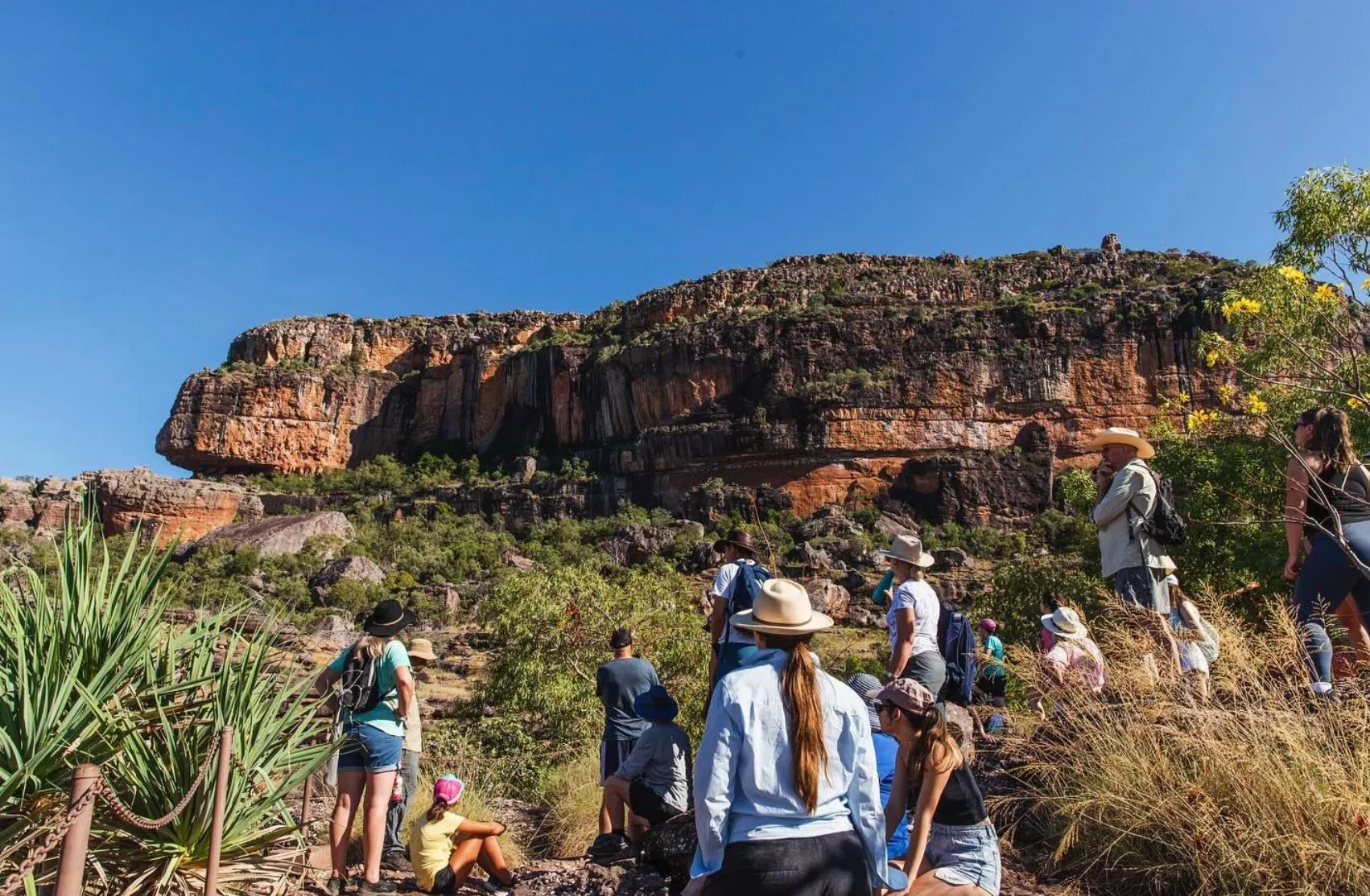 10oxen | Are There Crocodiles in Kakadu? 10oxen | Are There Crocodiles in Kakadu?