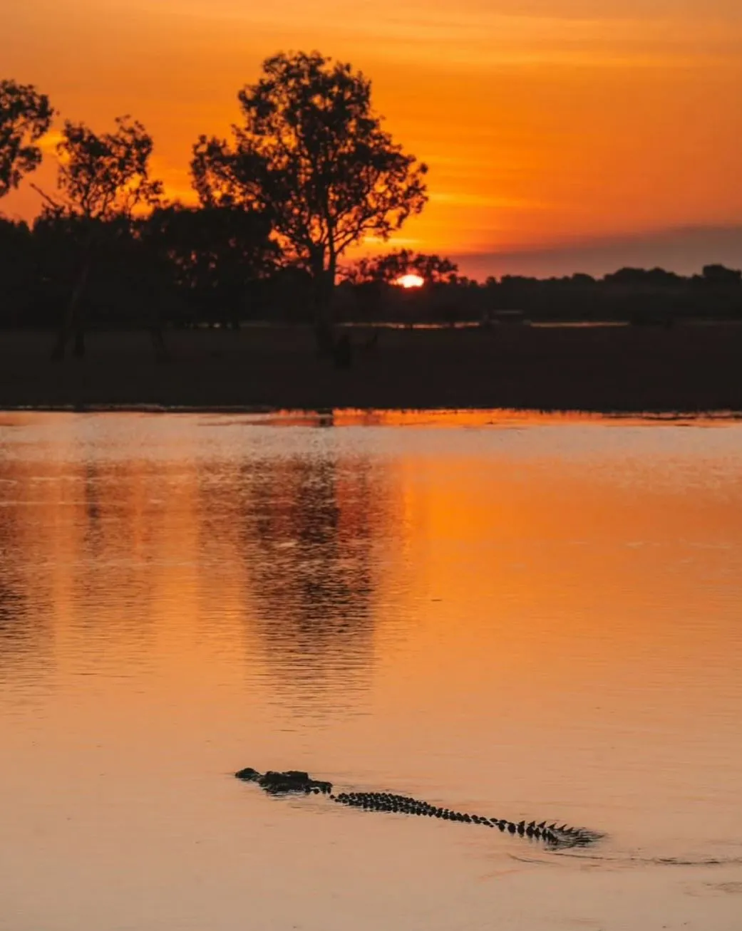 10oxen | Are There Crocodiles in Kakadu? 10oxen | Are There Crocodiles in Kakadu?